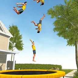 Flip Master