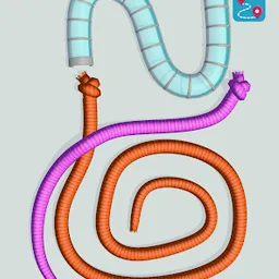 Tangled Snakes