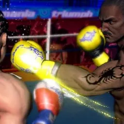 Punch Boxing 3D
